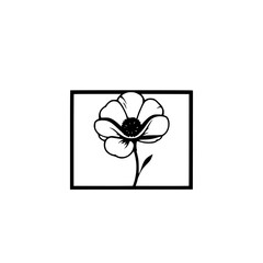Minimalist Black and White Poppy Drawing, framed within a rectangle.