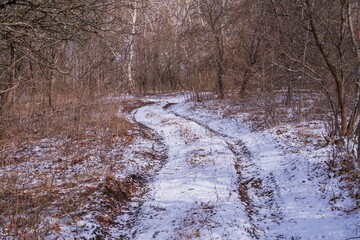 Dirt road in winter forest. Beautiful landscape with snowy road and trees. © Olha