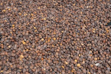 Drying and Defective Coffee Beans in Different Processing Stages
