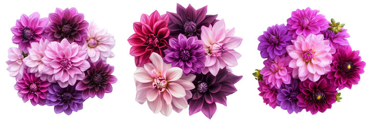 Fototapeta premium Set of A close-up shot of a vibrant purple flower with delicate pink petals, set against a clean on transparent png background