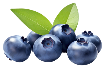 PNG Blueberry fruit plant food.