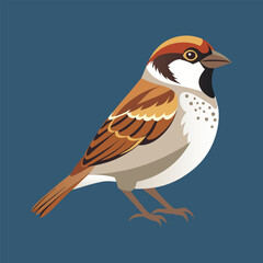 Obraz premium vector illustration of a Sparrow bird