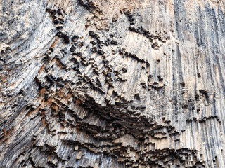 cliff surface from basalt columns in Garni Gorge