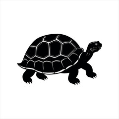 Pinta Island Tortoise Extinct Animal turtle isolated on white background