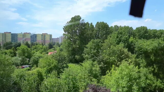 Professional window cleaning service using squeegee on office glass, closeup hand in blue glove. worker’s hand using Glass wiper cleaning from window. Safe and effective way to clean windows