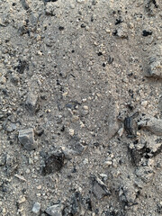 A close-up of a surface covered in ash and small burnt debris, showing fire aftermath with a rough texture