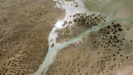 aerial view of river and delta next to ocean