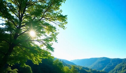 Fototapeta premium Natural background featuring lush green forests, soft sunlight filtering through the trees, and a clear blue sky. A peaceful and refreshing atmosphere with vibrant foliage, gentle hills.