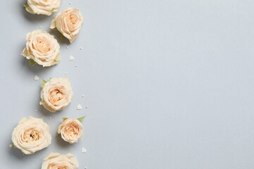 Beautiful composition with peony roses on gray background