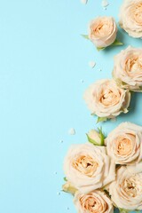 Beautiful composition with peony roses on color background