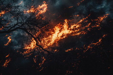A forest fire spreading across dry trees Generative AI	

