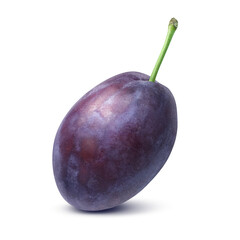 プルーンのイラスト リアル 白バック