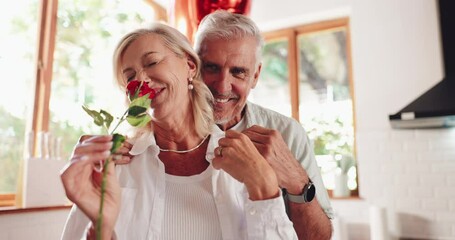 Love, senior couple and rose for valentines day, romantic gift and smile in kitchen. Retirement, man and woman with flower together for relationship, smell and kiss to celebrate marriage in home - Powered by Adobe