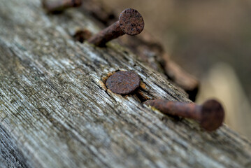 A few curved nails on a tree