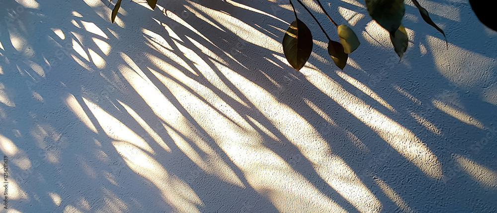 Poster shadows of leaves cast on a white wall, creating a natural pattern in soft light