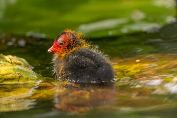 Naklejka premium Generated image