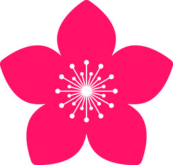 Cherry Peach plum Blossom flower spring flowers flat icon set for apps websites or print