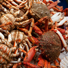 Venice fish market early morning in February. Crabs, natural background. Sale of freshly caught seafood. Square. Selective focus.