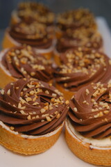 chocolate tart crushed peanut topping in buttery shortcrust pastry basket on white plate placed on counter perfect for dessert lovers indulgent treat rich texture sweet pastry close up festive