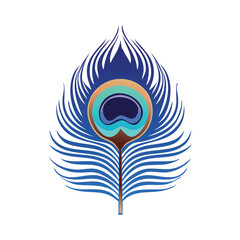 Vector illustration of peacock feather