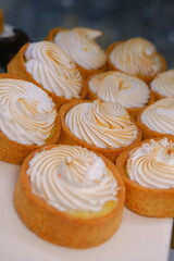 Creamy white tart with golden toasted top in shortcrust pastry on white plate in bakery display elegant dessert delicious sweet treat for food photography perfect pastry lovers indulgence