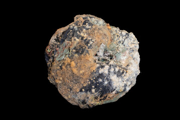 Decomposing orange with mold, close-up of spoiled fruit, fungal contamination, and decayed citrus texture