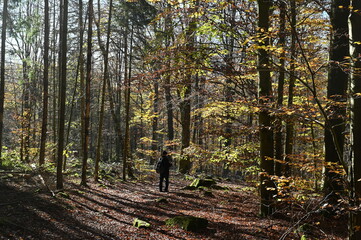 Wanderer in der Rhoen