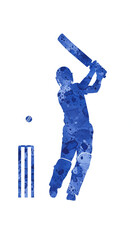 Batsman playing cricket colourful illustration  