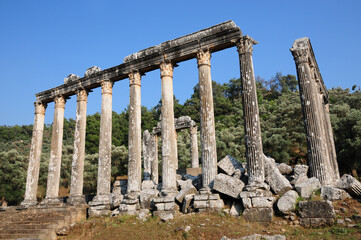 Fototapeta premium Euromos Ancient City in Milas, Mugla, Turkey.