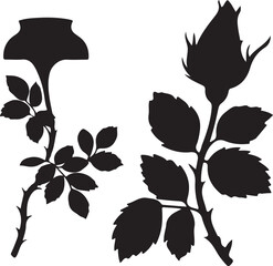 set of black and white flowers