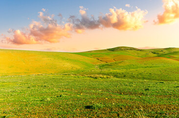 Countryside farm landscape of green field grassland in spring pr summer season with green fresh...