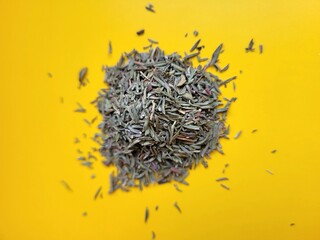 Raw pile of aromatic thyme on a yellow background.