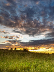 Field of grass with a beautiful sunset in the background