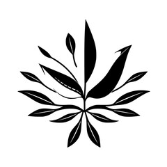 Stylized botanical illustration with a central starburst arrangement, abstract minimalist design, black and white color palette.