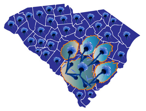 Aspergillus_paw_2