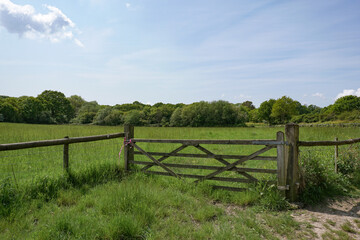 countryside scene with green meadow fields and wooden gate. rural landscape. 