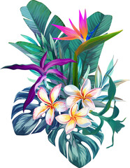 Bouquet of tropical flowers. Hibiscus, paradise flowers. exotic, tropical