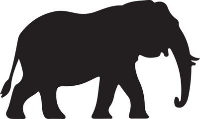 elephant isolated on white