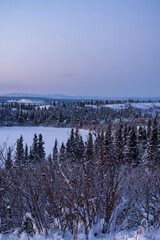 Edgy of icy lake surrounded by trees in Alaska