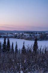 Small icy lake surrounded by trees in Alaska