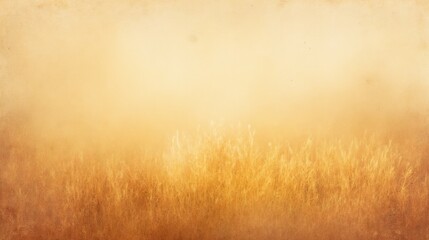 Soft Golden Grass Field Under Dreamy Light During Sunrise or Sunset