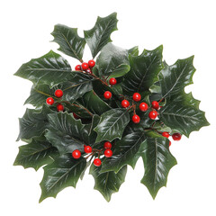 Festive Holly Leaves with Red Berries for Holiday Decor