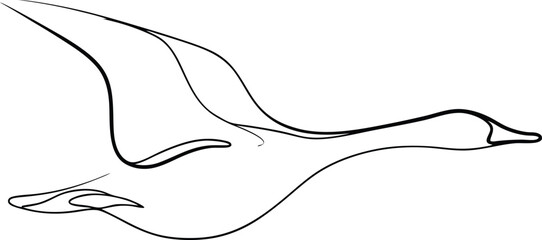 Fototapeta premium Elegant Line Drawing of a Flying Goose in Flight