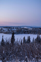Icy lake surrounded by trees in Alaska