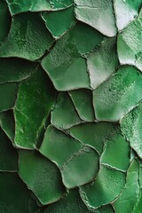 Obraz premium Green leaf close up with dew droplets