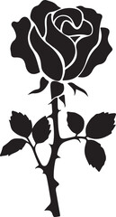 black silhouette of rose