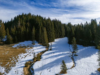 Winter landscape of a hill and forest covered by snow