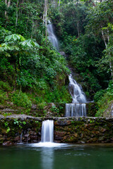 beautiful photo of waterfall in the forest