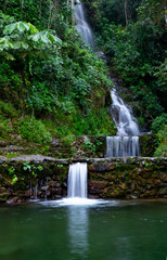 beautiful photo of waterfall in the forest