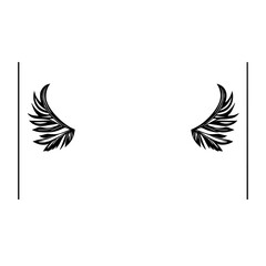 Black and White Wings on White Background